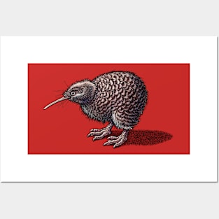 Kiwi Bird (New Zealand) Posters and Art